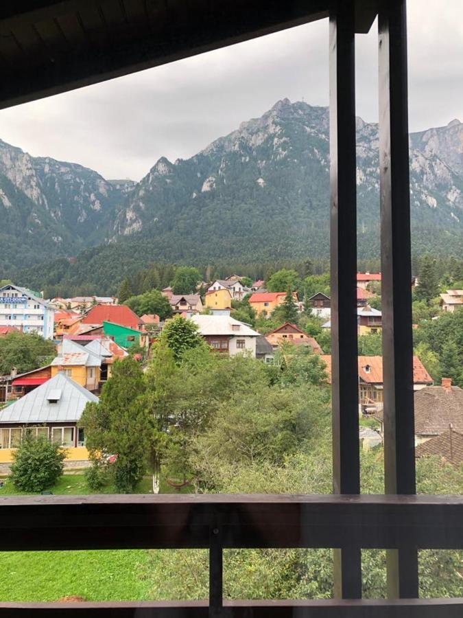 Elena-Maria Apartments Buşteni Exteriör bild